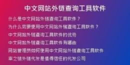 中文網站外鏈查詢工具軟件