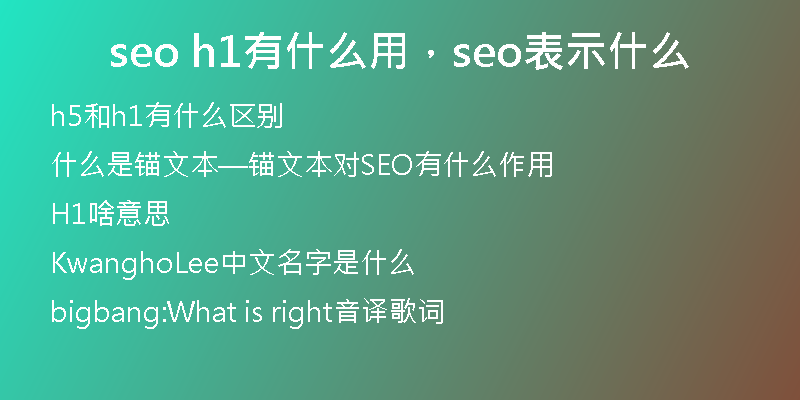 seo h1有什么用，seo表示什么
