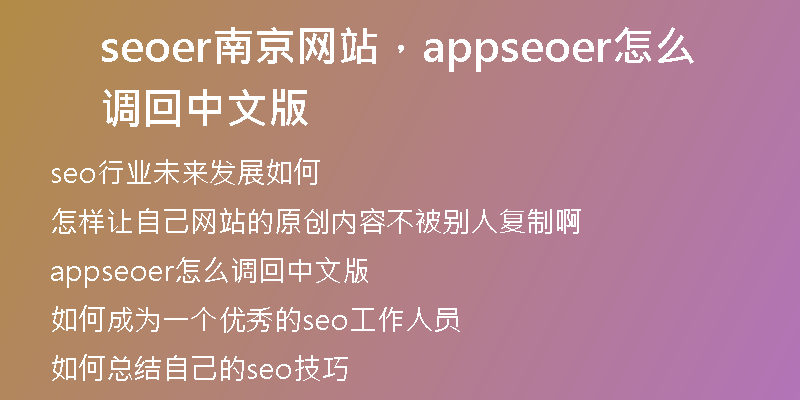 seoer南京網(wǎng)站，appseoer怎么調(diào)回中文版