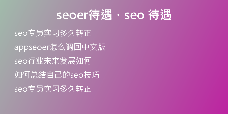seoer待遇，seo 待遇