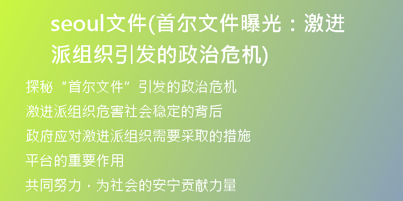 seoul文件(首爾文件曝光：激進(jìn)派組織引發(fā)的政治危機(jī))