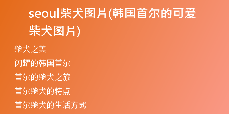seoul柴犬圖片(韓國(guó)首爾的可愛(ài)柴犬圖片)