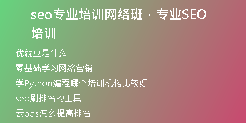 seo專業(yè)培訓(xùn)網(wǎng)絡(luò)班，專業(yè)SEO培訓(xùn)