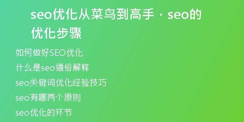 seo優(yōu)化從菜鳥到高手，seo的優(yōu)化步驟