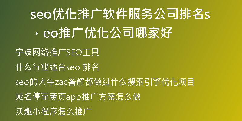 seo優(yōu)化推廣軟件服務(wù)公司排名，seo推廣優(yōu)化公司哪家好
