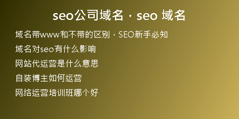 seo公司域名，seo 域名