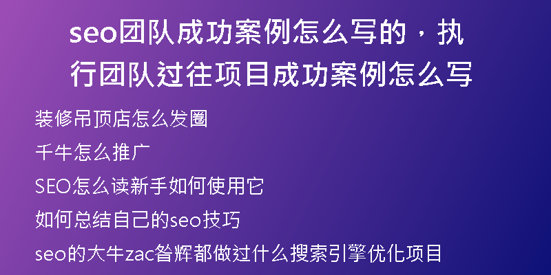 seo團(tuán)隊(duì)成功案例怎么寫(xiě)的，執(zhí)行團(tuán)隊(duì)過(guò)往項(xiàng)目成功案例怎么寫(xiě)