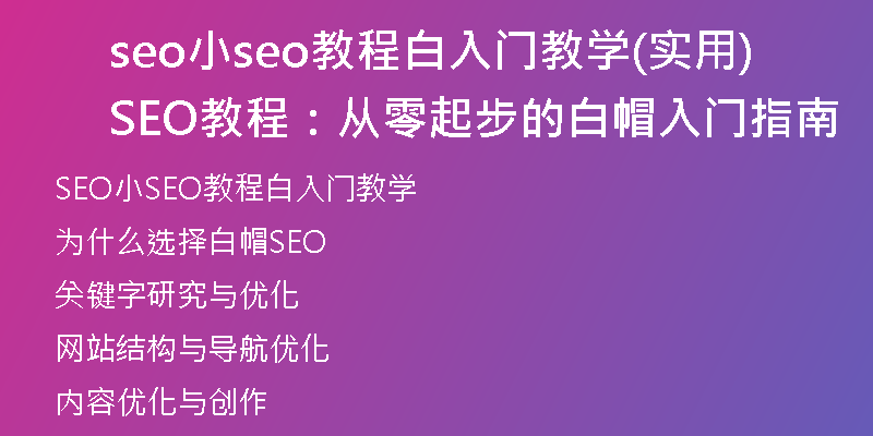 seo小seo教程白入門(mén)教學(xué)(實(shí)用SEO教程：從零起步的白帽入門(mén)指南)