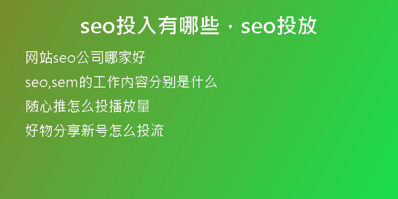 seo投入有哪些，seo投放