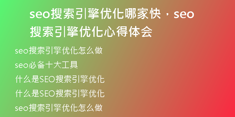 seo搜索引擎優(yōu)化哪家快，seo搜索引擎優(yōu)化心得體會