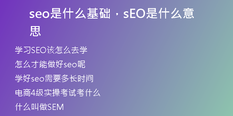 seo是什么基礎(chǔ)，sEO是什么意思