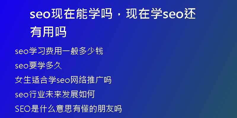 seo現(xiàn)在能學(xué)嗎，現(xiàn)在學(xué)seo還有用嗎