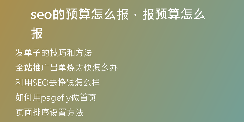 seo的預(yù)算怎么報(bào)，報(bào)預(yù)算怎么報(bào)