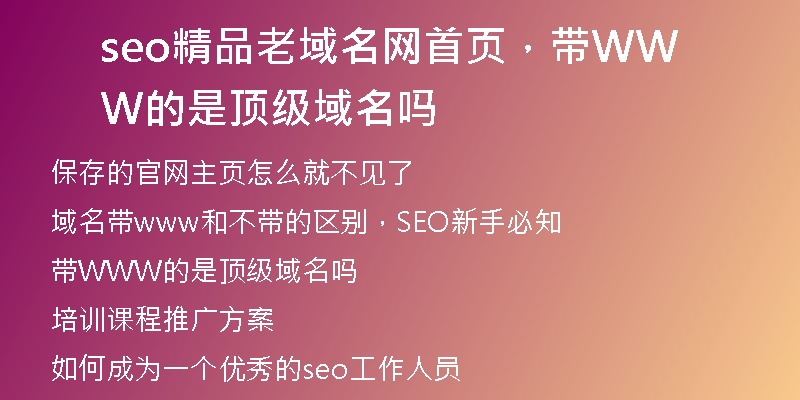 seo精品老域名網(wǎng)首頁，帶WWW的是頂級域名嗎