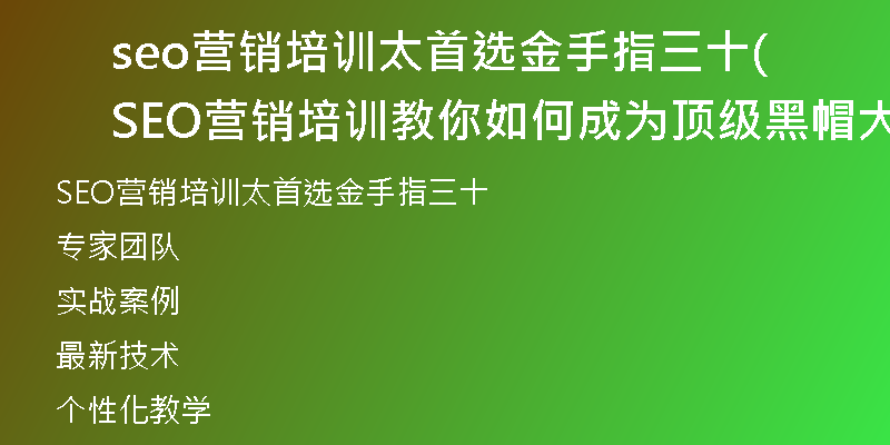 seo營銷培訓(xùn)太首選金手指三十(SEO營銷培訓(xùn)教你如何成為頂級黑帽大師)