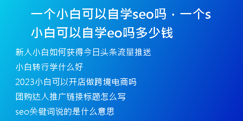 一個小白可以自學(xué)seo嗎，一個小白可以自學(xué)seo嗎多少錢