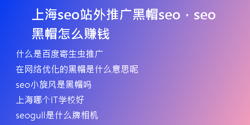 上海seo站外推廣黑帽seo，seo黑帽怎么賺錢
