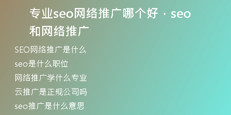 專(zhuān)業(yè)seo網(wǎng)絡(luò)推廣哪個(gè)好，seo和網(wǎng)絡(luò)推廣