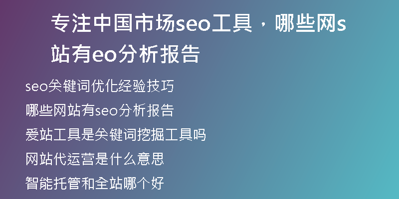 專注中國市場seo工具，哪些網站有seo分析報告
